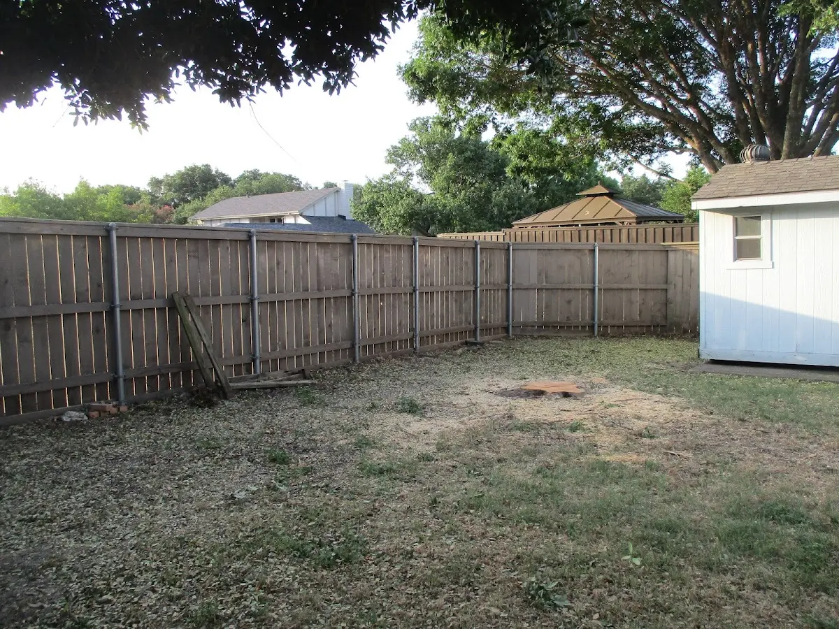Cleared yard after professional tree removal in Cowen