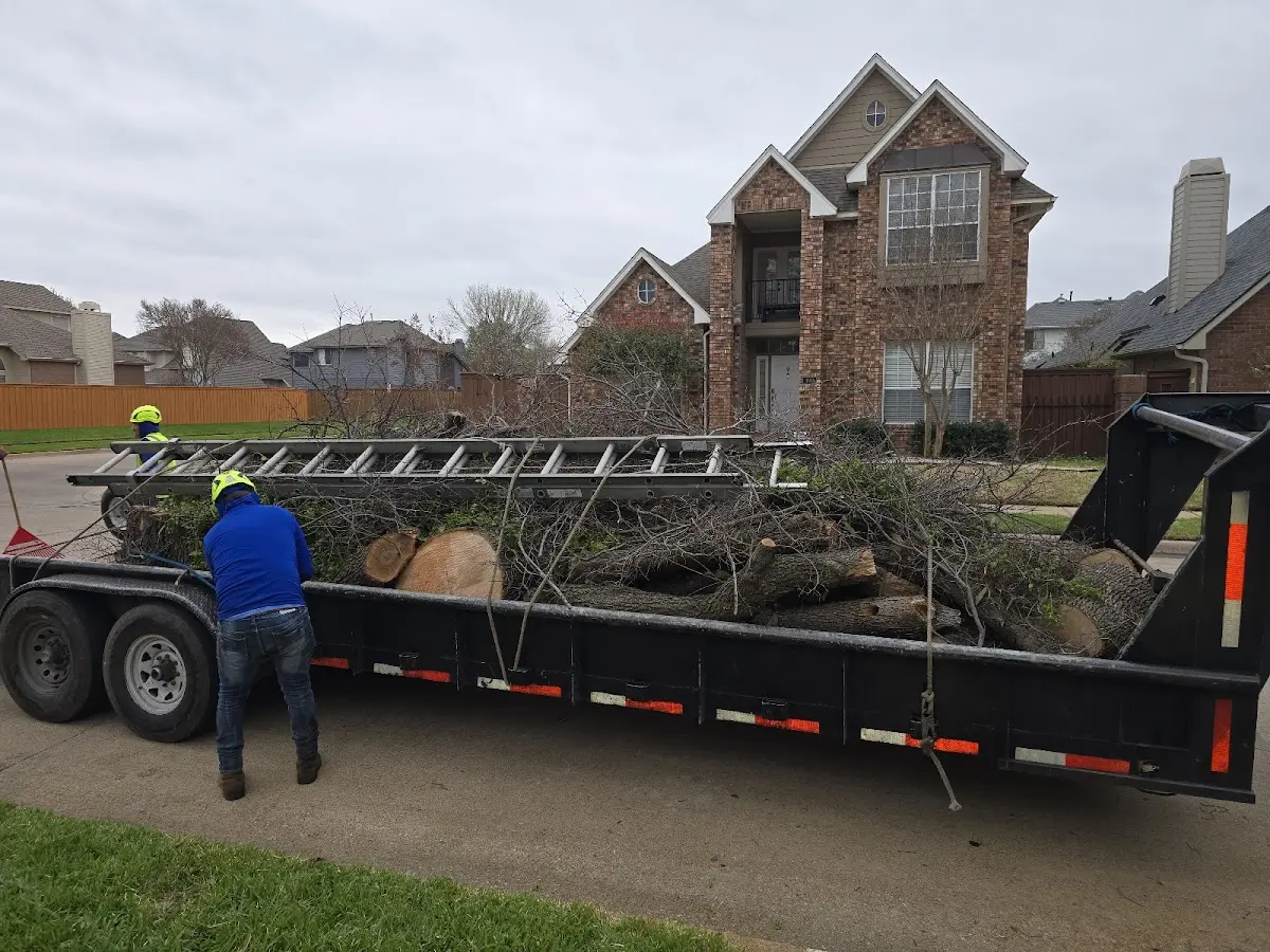 Expert Tree Fertilization with proper safety equipment in Cowen